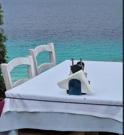 Appartement Dandelion