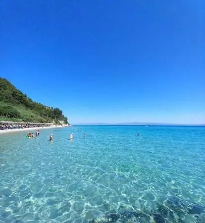 Appartement Dandelion